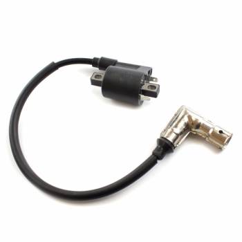 riot ht lead  coil-EFI h4.2